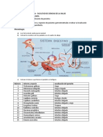 A. Cuadro y Figura Identifcacion y Localizacion de Parasitos