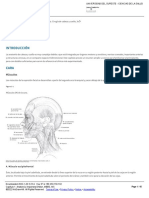 Capítulo 1_ Anatomía