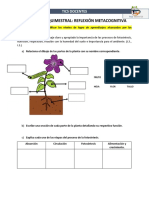 Evaluación Quimestral Reflexión Metacognitiva