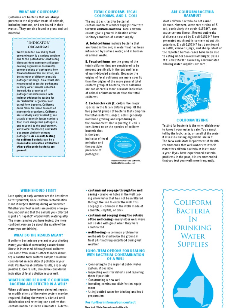 Understanding Coliform Bacteria An InDepth Look at These Indicator