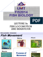 Lecture 3a Fish Locomotion and Behavior