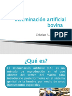 Inseminación Artificial Bovina