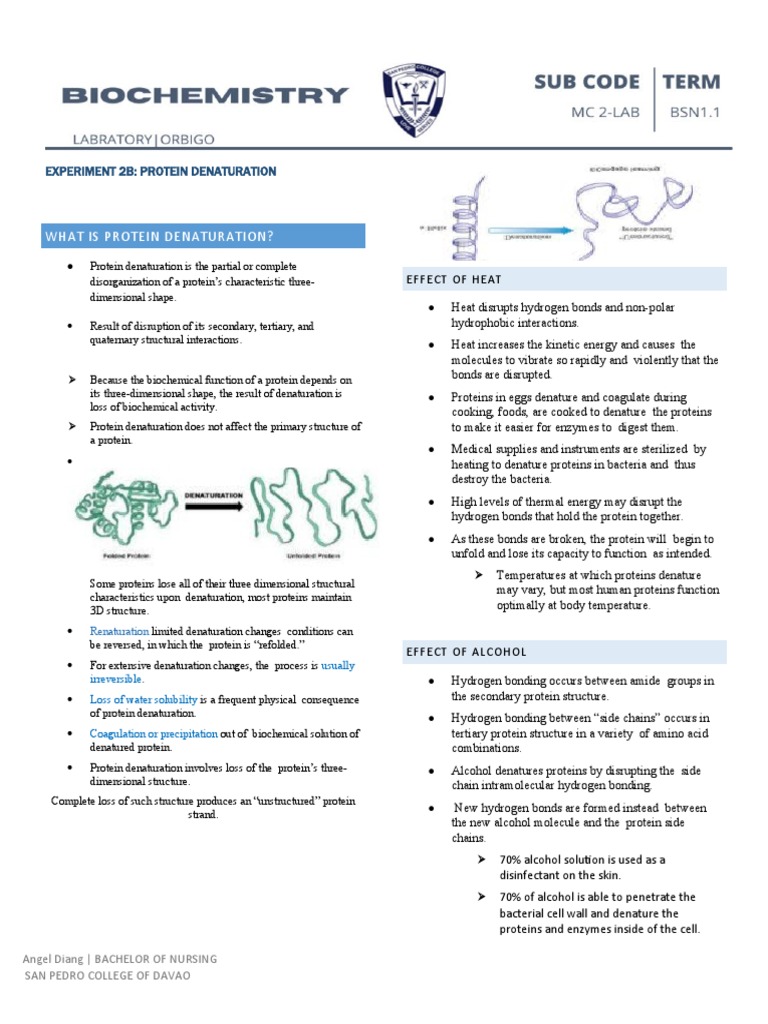 What Is Protein Denaturation? PDF Denaturation (Biochemistry
