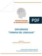 Introducción A La Neurobiología