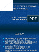 3requerimientos Nutricionales 17