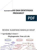 klasifikasi & Identifikasi bakteri