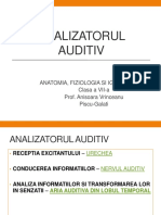 Analizatorul Auditiv