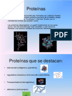 proteinas-exposición