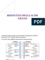 02 - Biosintesi Acidi Grassi- Fosfolipidi- Prostaglandine