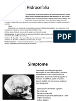 Hidrocefalia