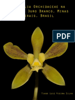 A família Orchidaceae na Serra do Ouro Branco, Minas Gerais, Brasil
