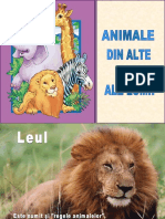 Animale Din Alte Zone Ale Lumii