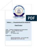 Subject: Organizational Development Final Project