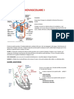 4) Sistema Cardiovascolare