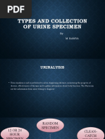 Urine Specimen Collection Guide | PDF
