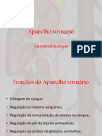 Anatomia Do Rim PDF