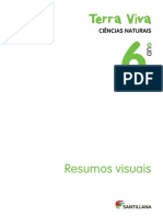 CN6 - Resumos Visuais