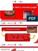 Tema 11 - Topografia de Labio y Mucosa Yugal