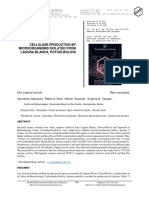 2. Cellulase by Microorganisms - Camacho2021