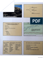 1 Diapositivas Ferti Segundo Semestre