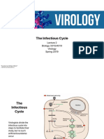 The Infectious Cycle: Biology 3310/4310 Virology Spring 2019