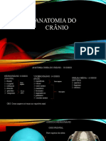 Anatomia Cranio Neurocranio