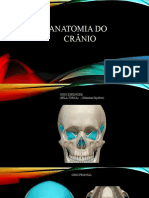 Anatomia Do Cranio Completa