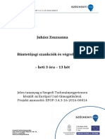 EFOP343 - AP6 - Bjogi - Szankciók - És Végrehajtásuk - Juhász - 2019