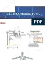 Electrocardiograma: Elizabeth Fernández. Fisioterapeuta
