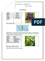 Clasificación Jerárquica de Los Seres Vivos