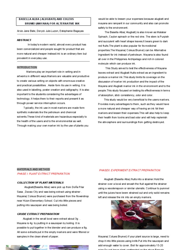 Alugbati and Mayana: Natural Ink Solutions | PDF | Ink