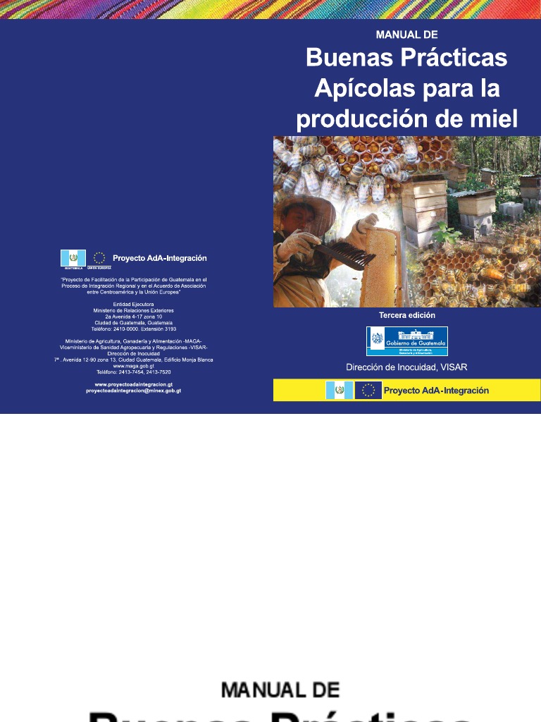Buenas Prácticas Apícolas para La Producción de Miel | PDF | Apicultura ...