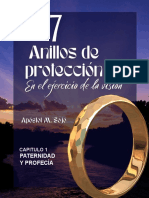 Version Internacional Cap. 1 - Los 7 Anillos de Proteccion