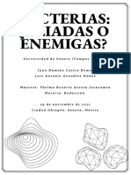 Bacterias: ¿Aliadas o Enemigas?