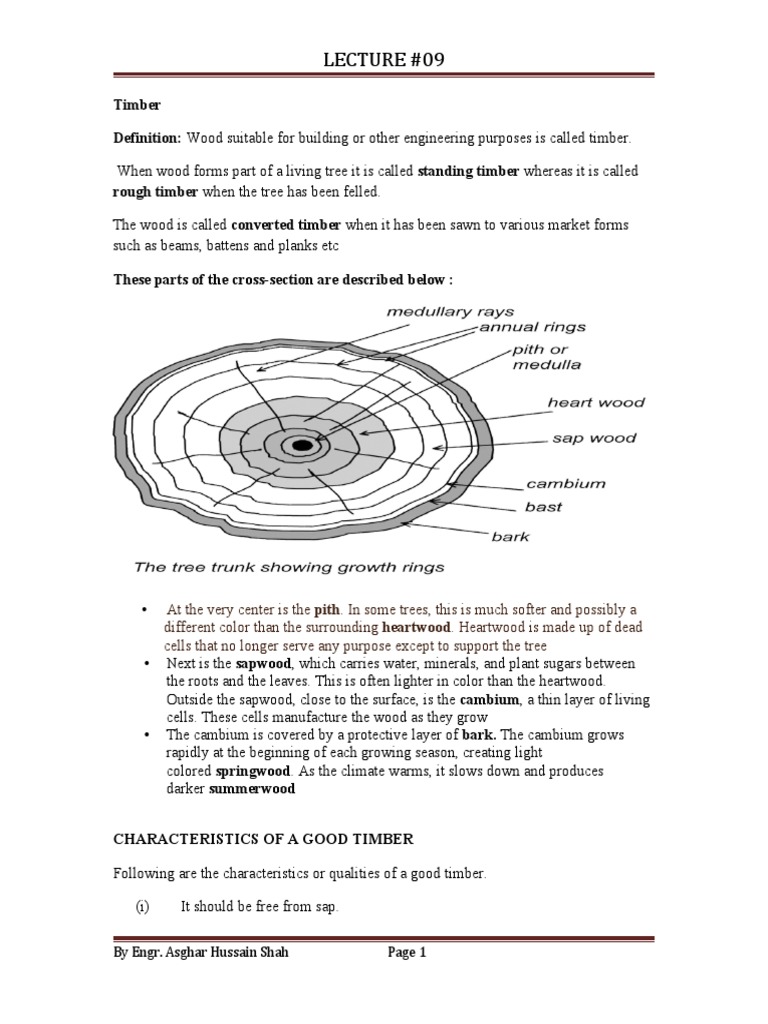 Lecture 09 Timber Definition Wood Suitable For Building or Other