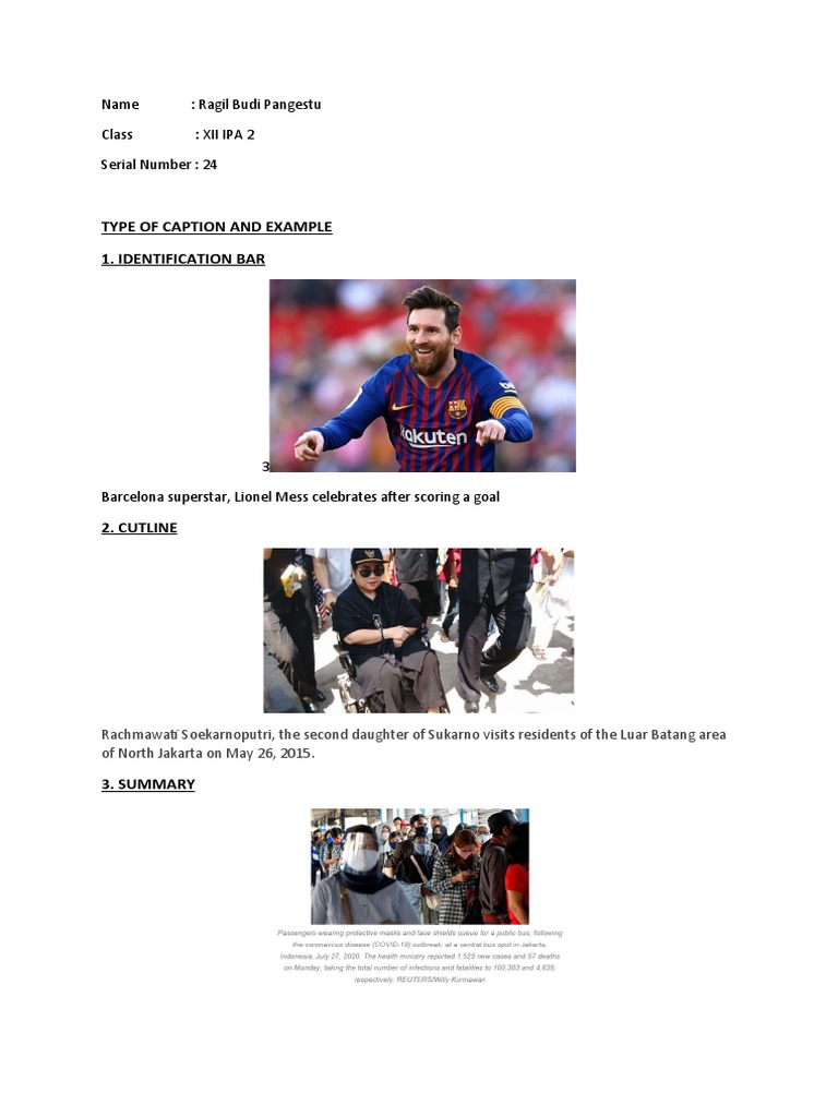 Type of Caption and Example 1. Identification Bar | PDF
