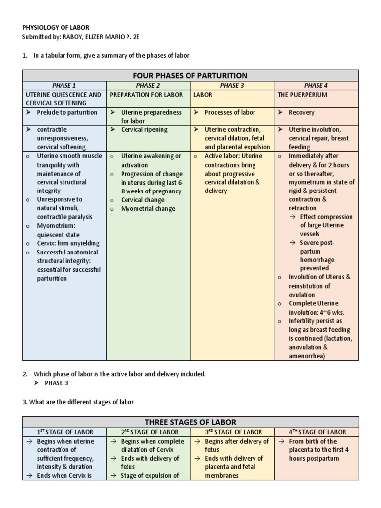 Four Phases of Parturition: Phase 1 Phase 2 Phase 3 Phase 4 | PDF ...