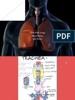 Chest Wall, Lung, Mediastinum, and Pleura Procedures