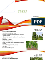 Trees: Submitted By: Pragyaa Vashishtha B.Arch (V) Sem 1400166