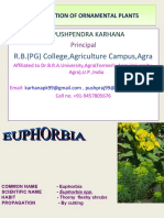 R.B. (PG) College, Agriculture Campus, Agra: DR - Pushpendra Karhana