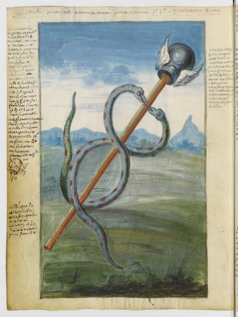 Caduceus | PDF