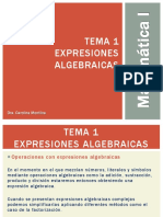 Tema I Expresiones Algebraicas - 3 Parte