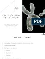 Cell Division