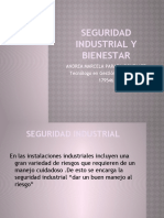 Seguridad y Bienestar