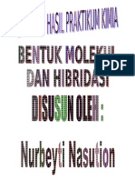 Nurbeyti Nasution Hibridisasi Molekul