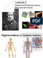 Introduction To: 1) Systemic and Functional Anatomy 2) Basic Cells and Tissues