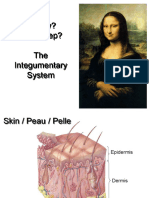 Beauty? Skin Deep? The Integumentary System