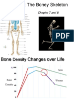 Lecture 2: The Boney Skeleton: Chapter 7 and 8