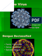 Dengue Virus (1)