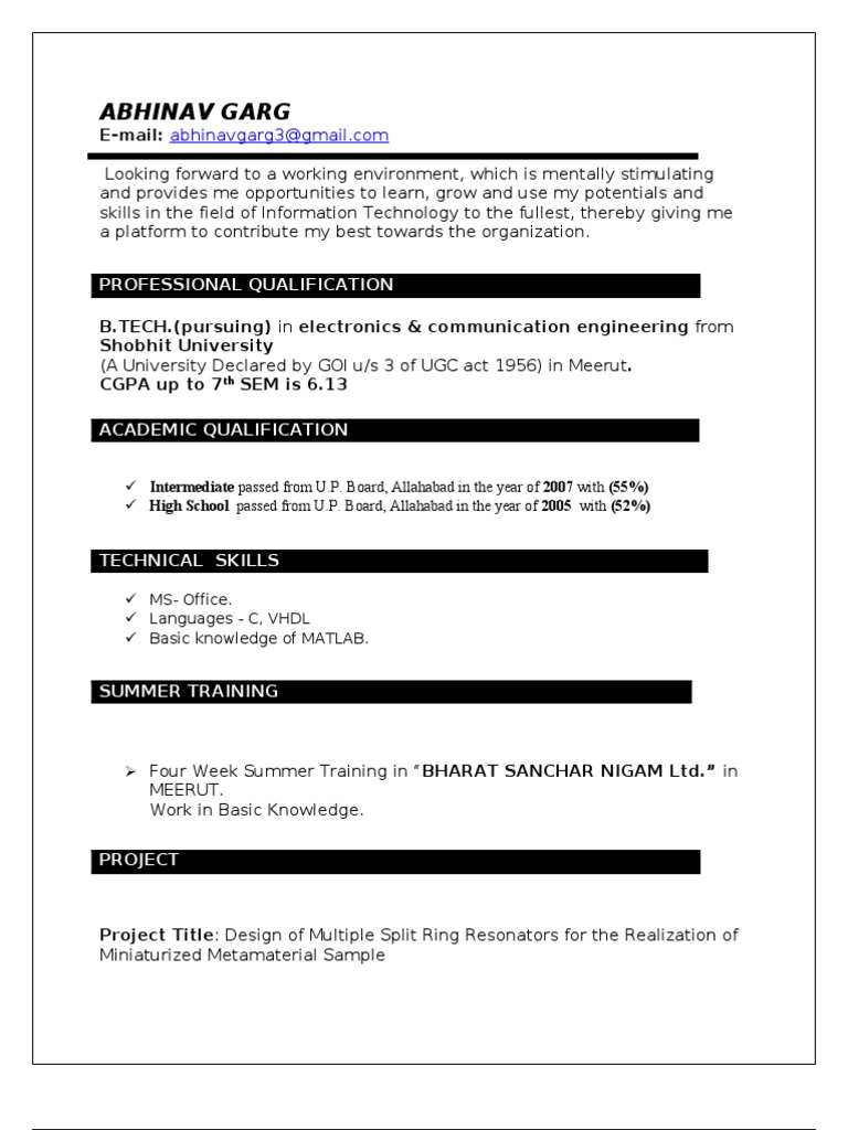Abhinav Garg: IT Student Profile | PDF